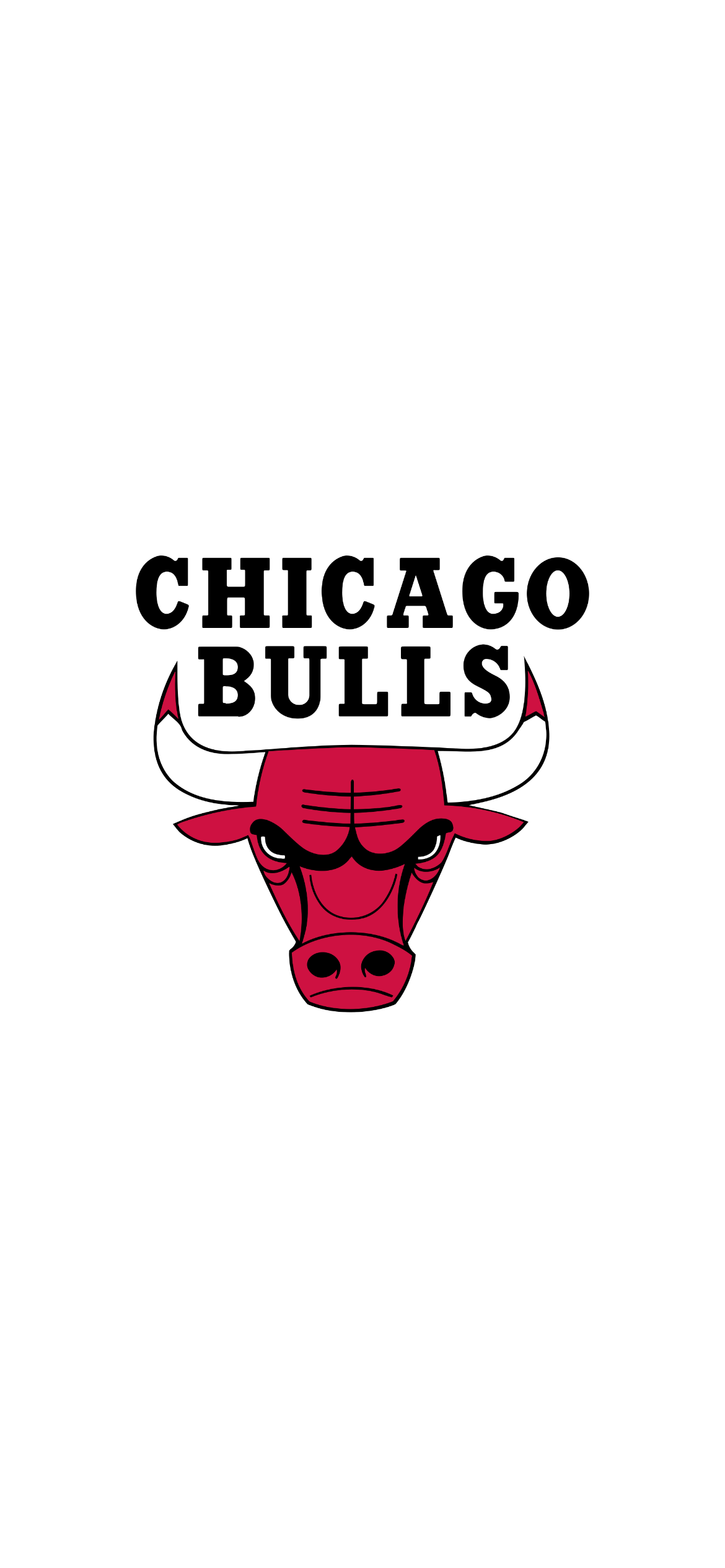 CHICAGO BULLS