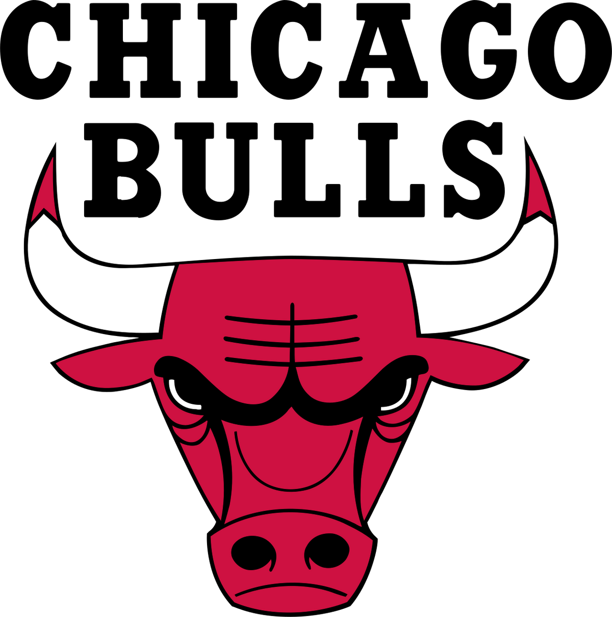 CHICAGO BULLS CUSTOM