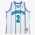 Charlotte Hornets Retro (1992) - Larry Johnson #2