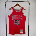 Chicago Bulls Retro (1995) - Dennis Rodman #91