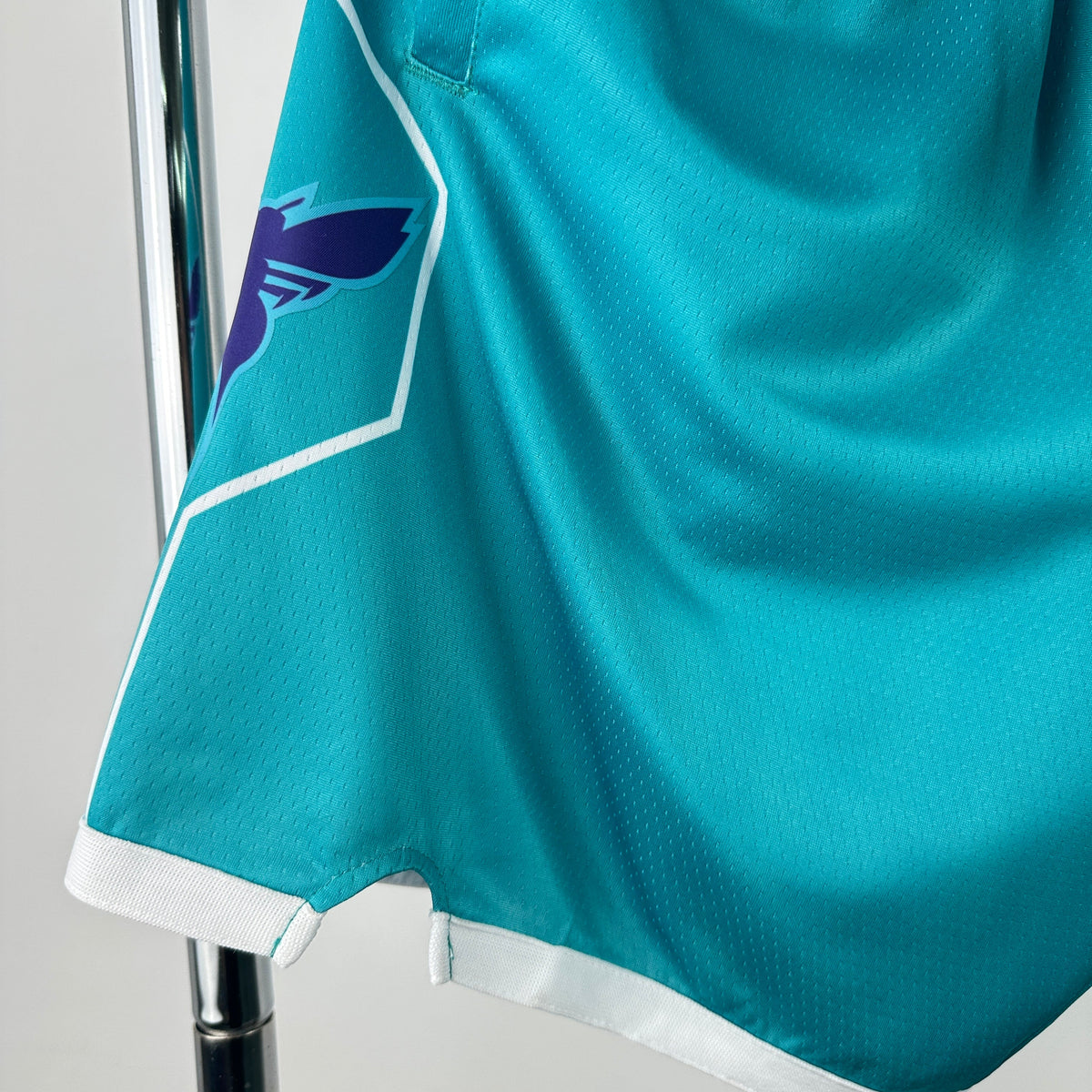 Charlotte Hornets Icon (Shorts)