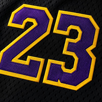 Los Angeles Lakers 25/26 City Edition Jersey - LeBron James #23